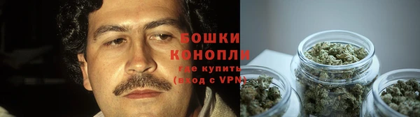 каннабис Покачи