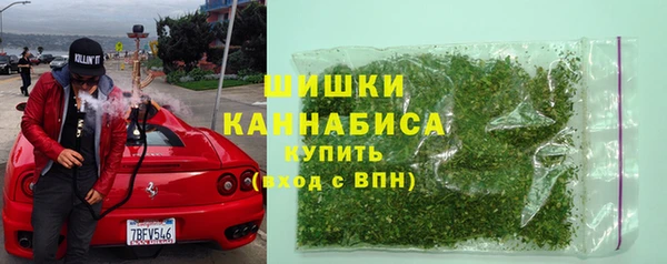 хмурый Гатчина
