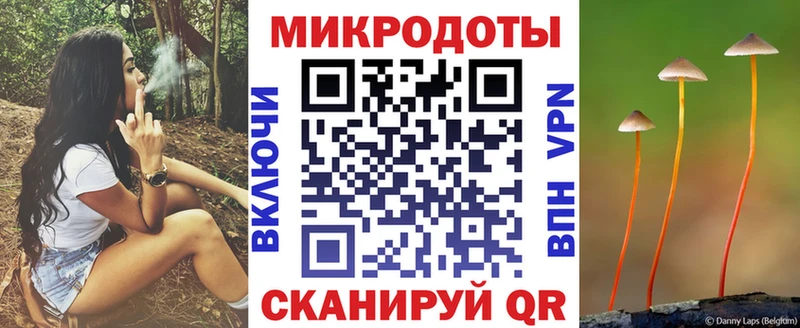 купить наркотик  omg рабочий сайт  Галлюциногенные грибы GOLDEN TEACHER  Белый 
